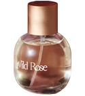 Wild Rose Burren Perfumery