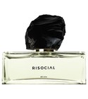Ashes 泯灭 Risocial 在野南杂