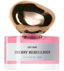 Cherry Rebellious H&M