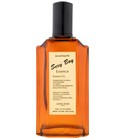 parfém Sexy Boy Essence