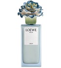 Agua Drop x Lladró Loewe