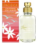 California Star Jasmine Pacifica