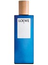Loewe 7