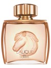 Lalique Pour Homme Equus
