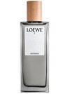Loewe 7 Anonimo