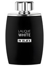 Lalique White in Black
