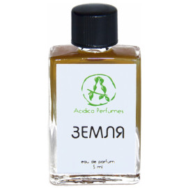 Green Nard perfume ingredient, Green Nard fragrance and essential oils ...