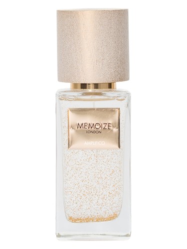 Amplifico Memoize London