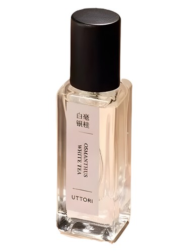 Osmanthus White Tea 白毫银桂 Uttori 五朵里