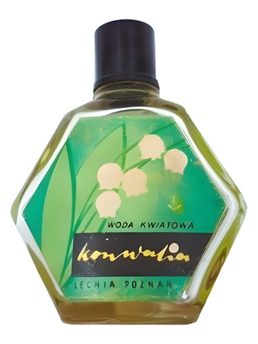 Konwalia Pollena Lechia