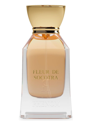 Fleur de Socotra Phenom parfum - un nouveau parfum pour homme et femme 2024