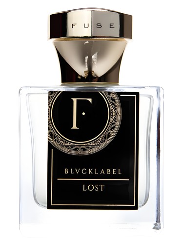 Lost Fuse