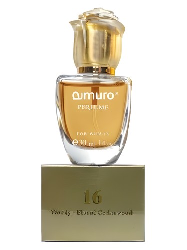 Amuro 16 Dzintars