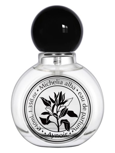 Michelia Alba 白兰 Aynoir 安喏