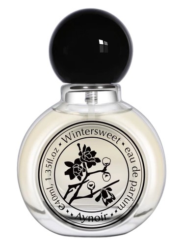 Wintersweet 腊梅 Aynoir 安喏