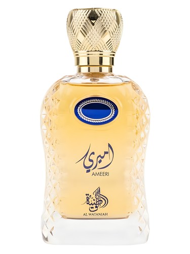 Ameeri Al Wataniah