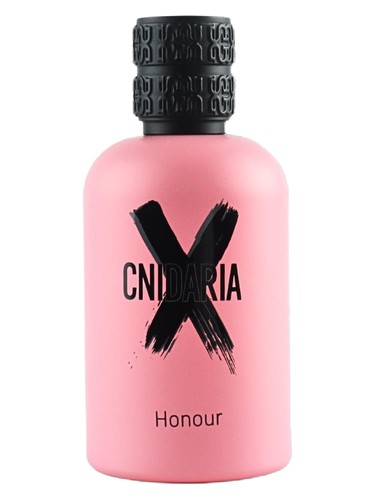 Cnidaria X Honour Samam
