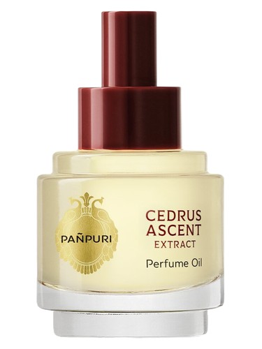 Cedrus Ascent Pañpuri