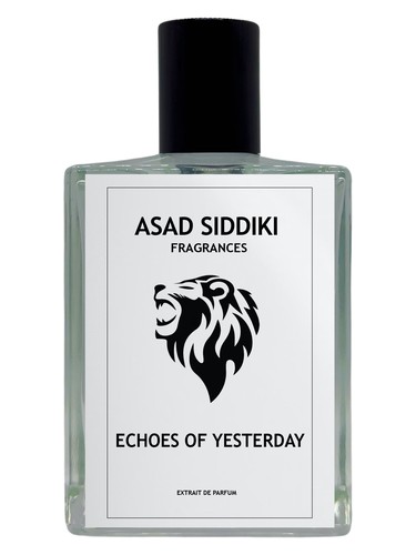 Echoes of Yesterday Asad Siddiki