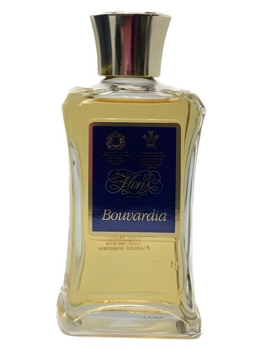 Bouvardia Floris