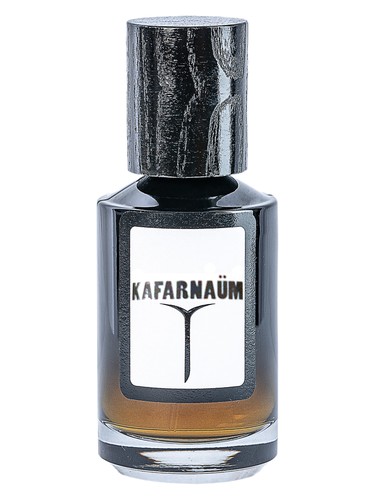Kafarnaum Olfacto
