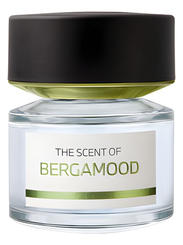 Bergamood BMW Fragrances