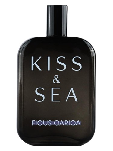 Kiss & Sea Ficus Carica Samam