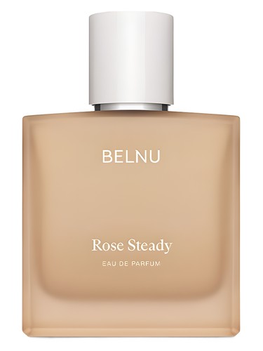 Rose Steady Belnu