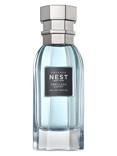 Cerulean Coast Nest