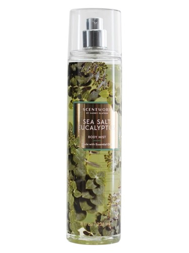 تصویر عطر Sea Salt Eucalyptus