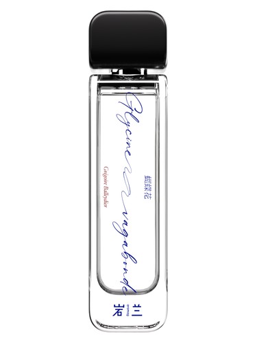 Glycine Vagabonde 蝴蝶花 Aromag 岩兰