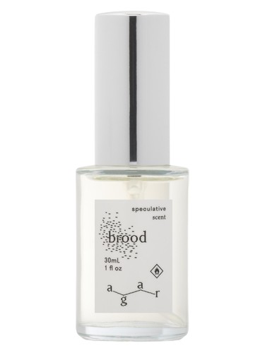 Brood Agar Olfactory