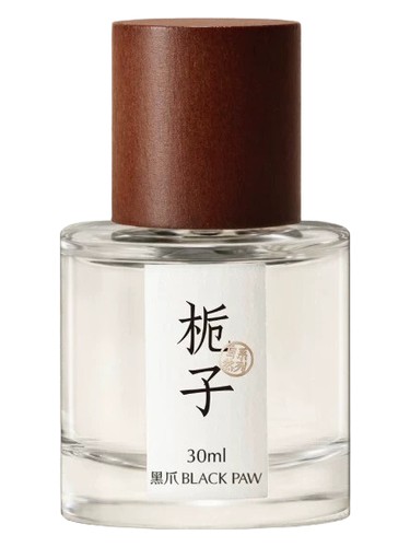 Gardenia 栀子 Black Paw