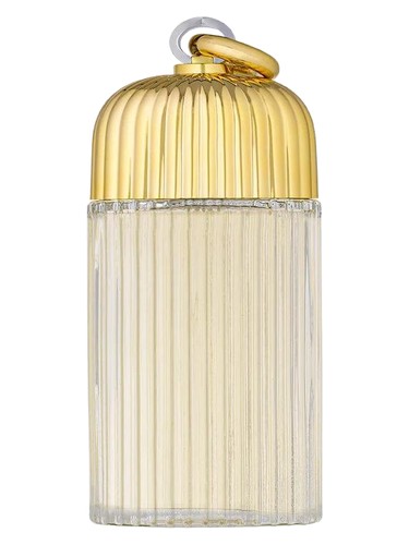 Cage For Women Cage