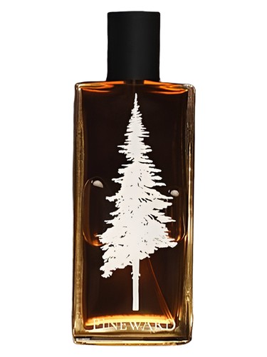 تصویر عطر Lime Cola