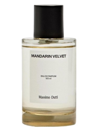 Mandarin Velvet Massimo Dutti