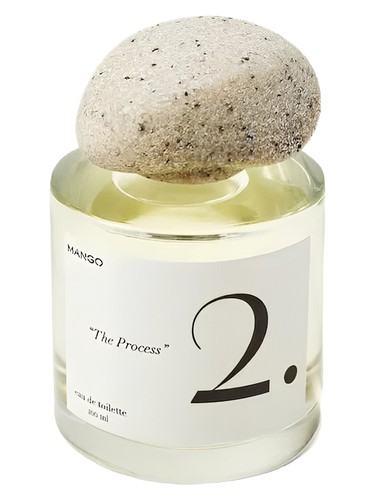 2. The Process Mango