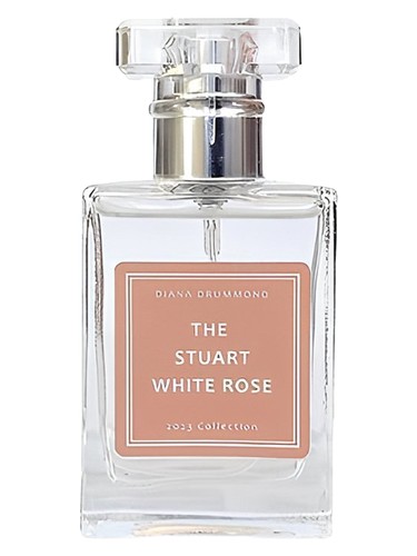 The Stuart White Rose Diana Drummond