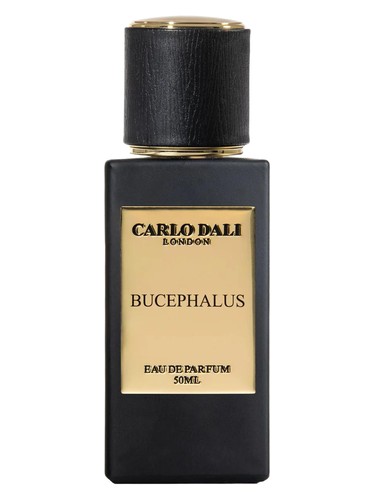 Bucephalus Carlo Dali