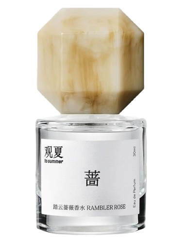 Rambler Rose 踏云蔷薇 To Summer | 观夏