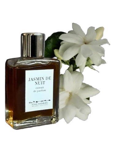 Jasmin De Nuit Sonia Washburn