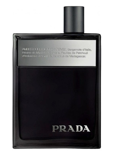 wat betreft borduurwerk kalmeren Prada Amber Pour Homme Intense Prada cologne - a fragrance for men 2011