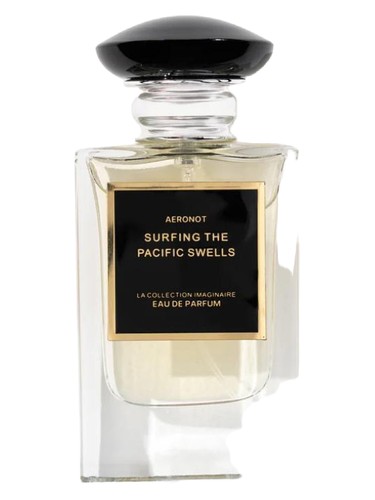 Aeronot Surfing the Pacific Swells