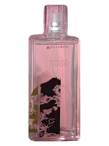 Phytoderm Le Jardin Madeiras de Lei