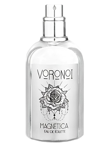 Voronoi Magnetica