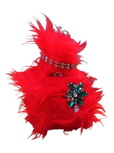 House of Atropa Le Chat Rouge