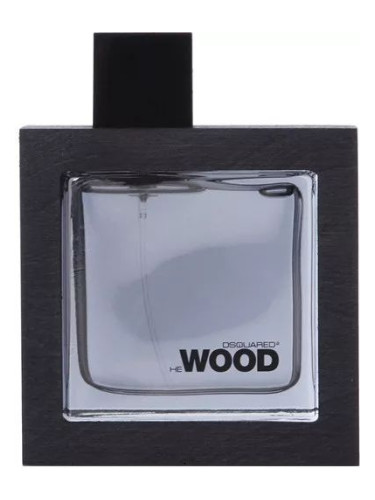 He Wood Silver Wind Wood DSQUARED² 