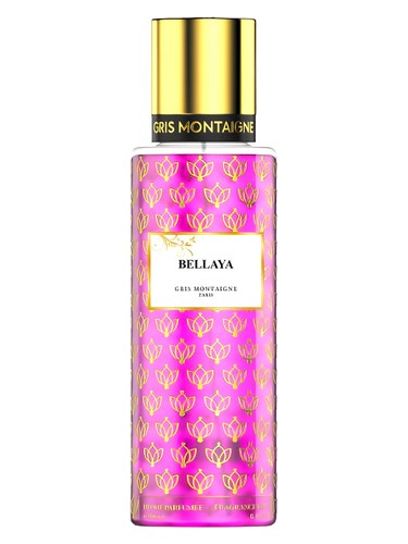 Gris Montaigne Paris Bellaya