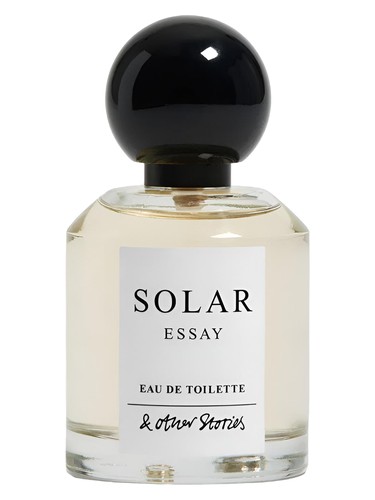 And Other Stories Solar Essay