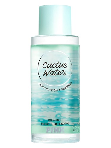 Victoria's Secret Pink Cactus Water